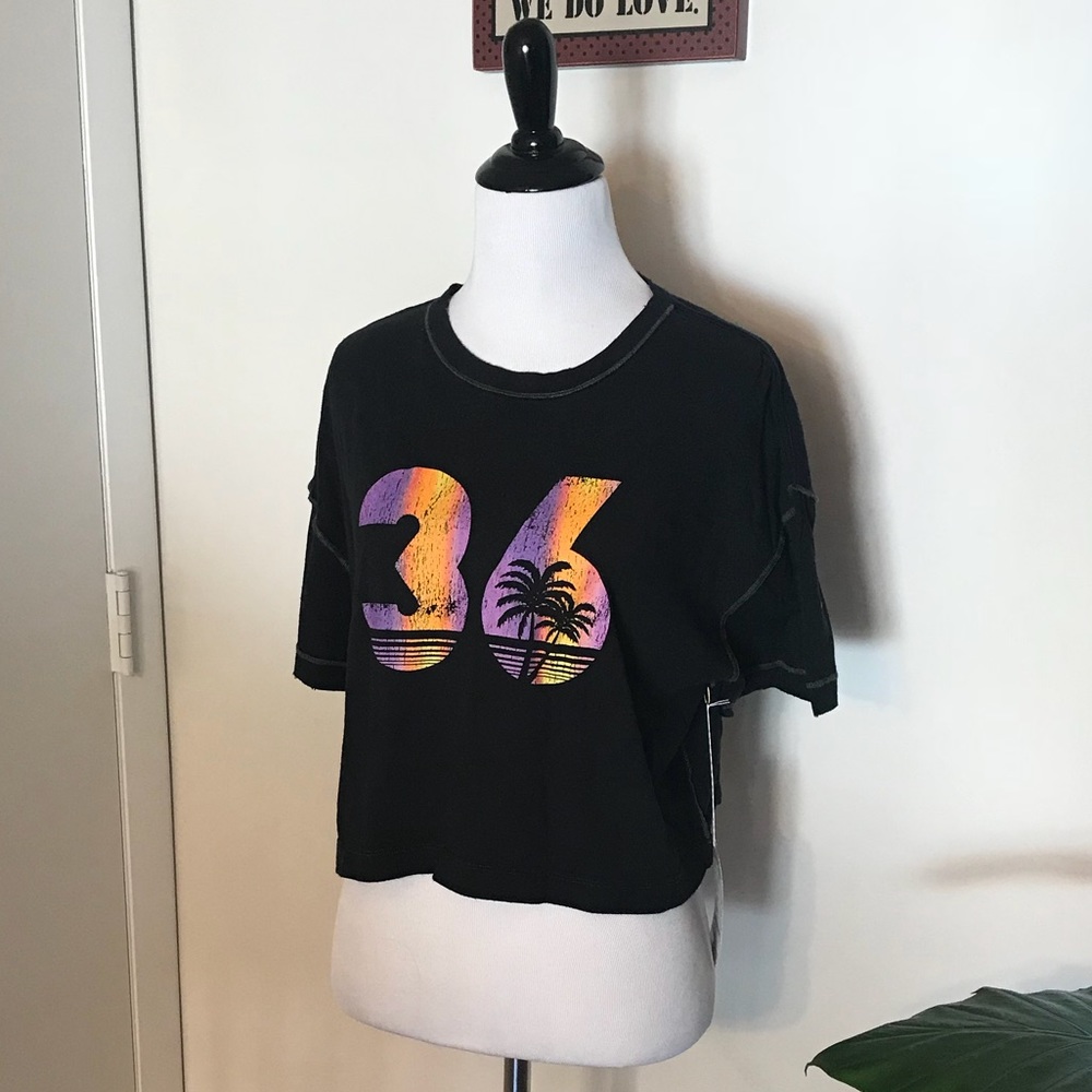 Free People We The Free Oversized Sunset Crop Tee